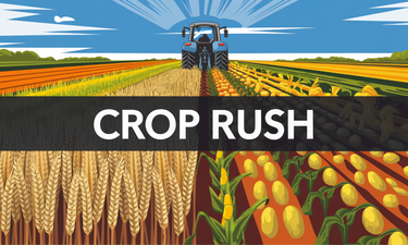 CropRush.com - Creative brandable domain for sale